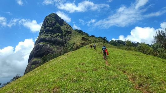 Kurinjal Trek and Sightseeing